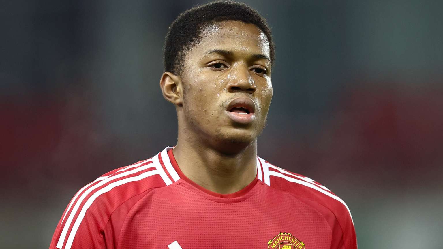 塔潜力的期 塔潜力的期